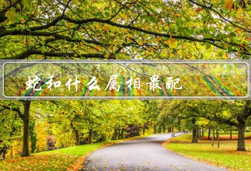 蛇和什么属相最配，相性／共同点／相处之道