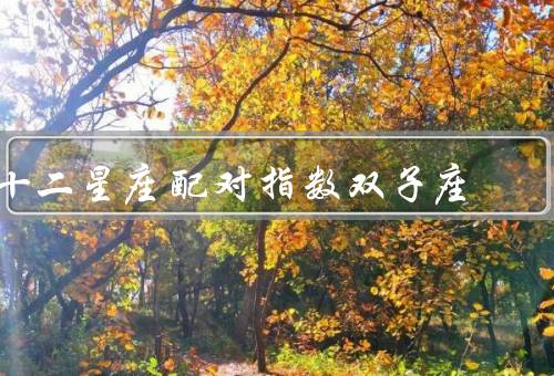 十二星座配对指数双子座，白羊座的配对指数／金牛座的配对指数