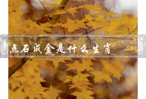 点石成金是什么生肖（点石成金／特点／财运）