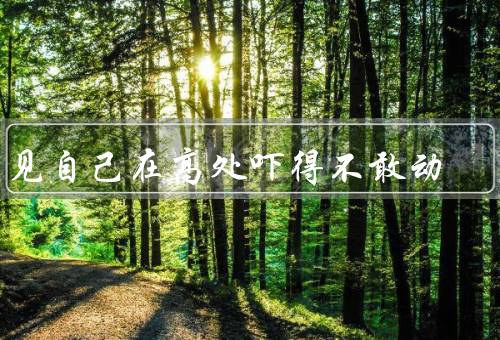 梦见自己在高处吓得不敢动（高处困境／恐惧的根源／克服恐惧）