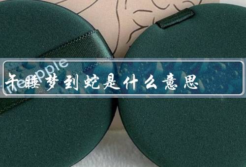 午睡梦到蛇是什么意思，梦见蛇的象征意义／梦中蛇的情境解读