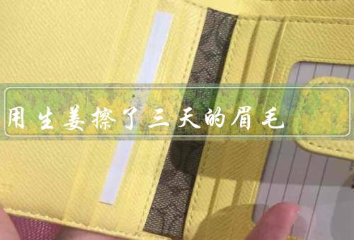 用生姜擦了三天的眉毛，经历／效果／总结