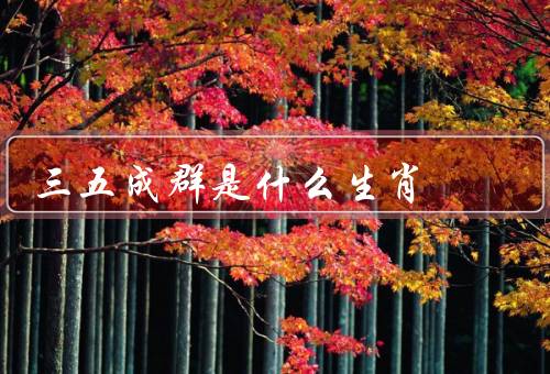 三五成群是什么生肖（特点／运势／建议）