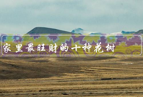 家里最旺财的十种花树（富贵竹、招财进宝、黄金葛）