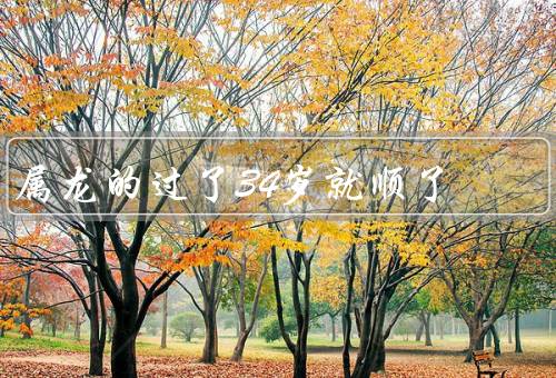 属龙的过了34岁就顺了（逆境磨砺／事业顺利／家庭幸福）