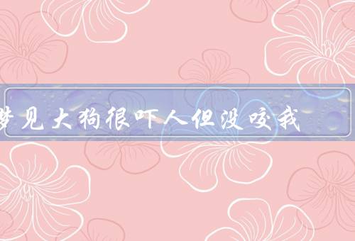 梦见大狗很吓人但没咬我，梦中的恐惧／意外的启示／勇敢面对