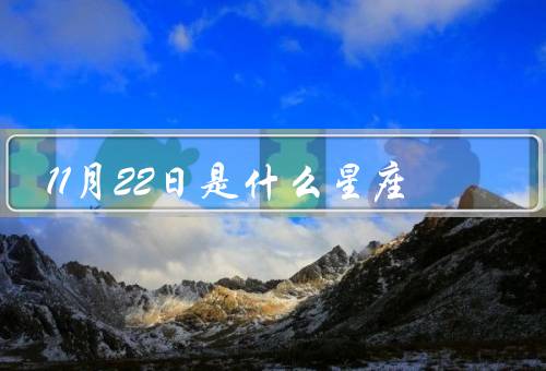 11月22日是什么星座