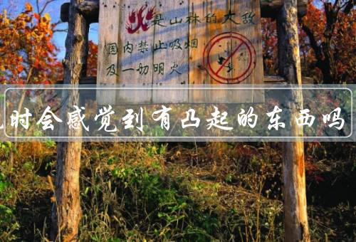 拥抱时会感觉到有凸起的东西吗（亲密的肢体接触／情感的交流和传递）