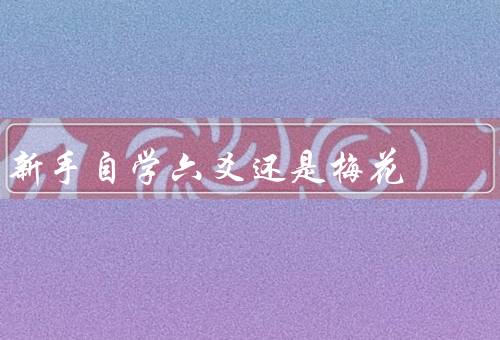 新手自学六爻还是梅花，六爻／梅花／如何选择