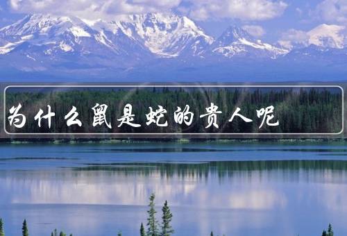 为什么鼠是蛇的贵人呢（和蛇的相生关系、鼠能帮助蛇化解困难）