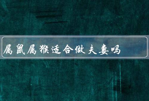 属鼠属猴适合做夫妻吗（共同的特点、相互吸引的特质、互补性）