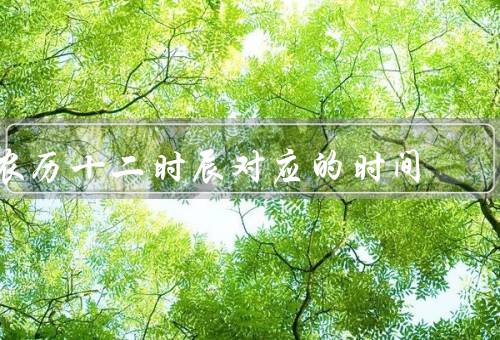 农历十二时辰对应的时间（子时、丑时、寅时）