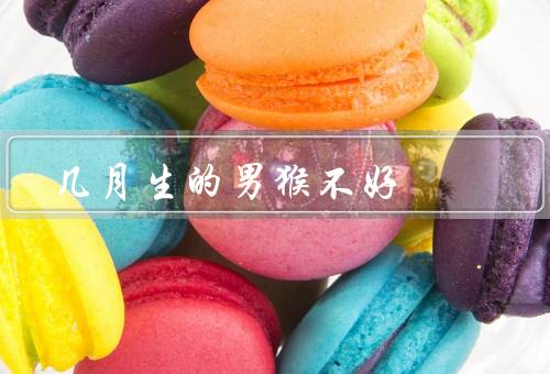 几月生的男猴不好（性格急躁、行为偏激、好胜心强）