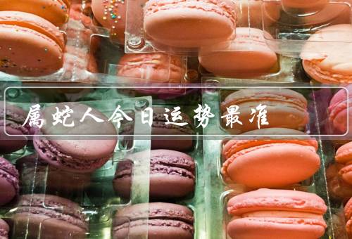 属蛇人今日运势最准，工作运势／财运／健康运势