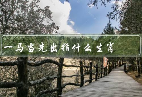 一马当先出指什么生肖，特点／运势／爱情和家庭