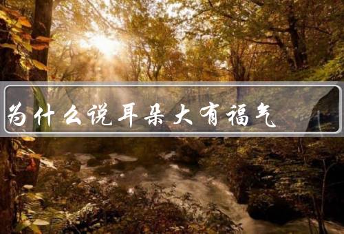 为什么说耳朵大有福气，面相学解释／文化传统解释／生理解释
