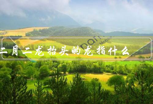 二月二龙抬头的龙指什么，龙的象征意义／二月二龙抬头的起源