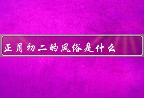 正月初二的风俗是什么，走亲访友／戏曲演出／放鞭炮