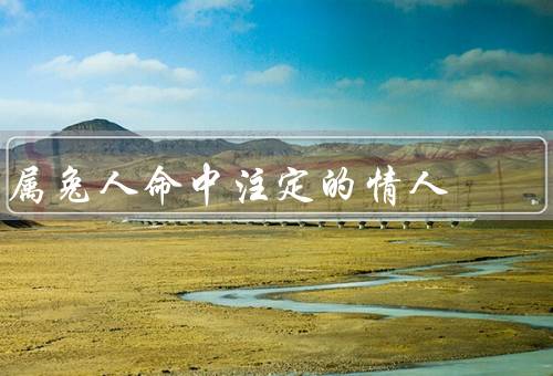 属兔人命中注定的情人，大气又温柔的情人、浪漫又细腻的情人