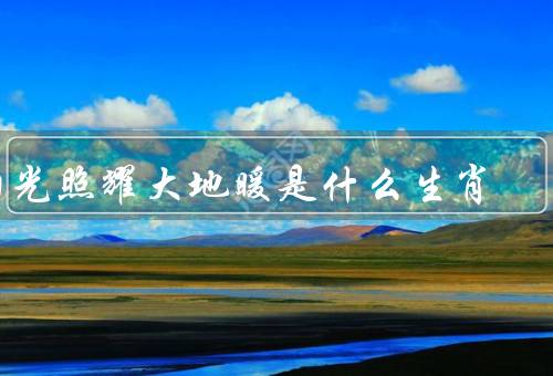 阳光照耀大地暖是什么生肖，猴年的特点／与猴年的关联