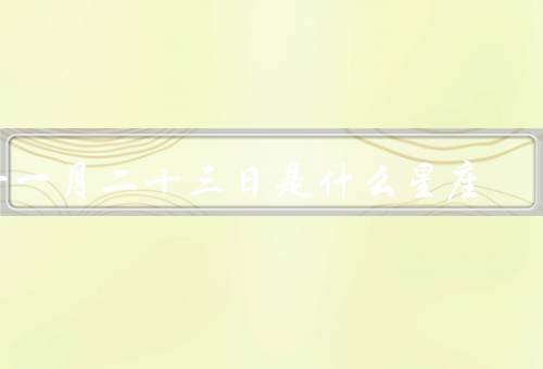 十一月二十三日是什么星座
