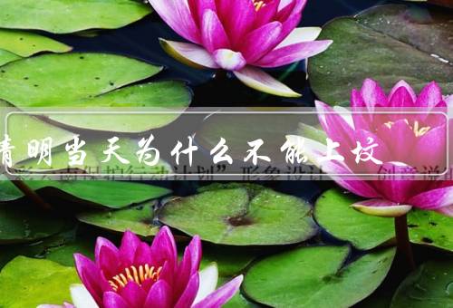 清明当天为什么不能上坟（清明节的由来／阴阳平衡的观念）