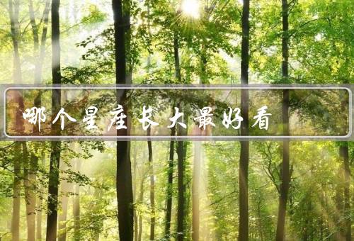 哪个星座长大最好看，天秤座／狮子座／双鱼座