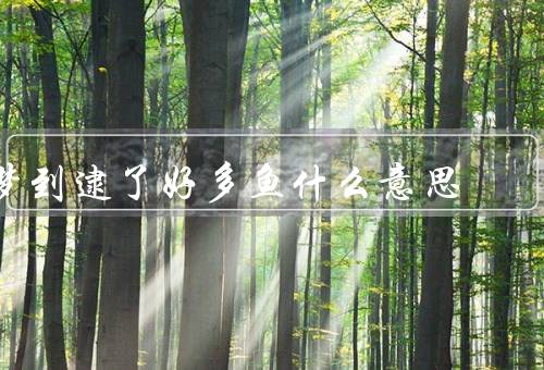 梦到逮了好多鱼什么意思，梦境象征／机会与成功／财富和丰收
