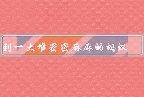 梦到一大堆密密麻麻的蚂蚁（数量之多／行动方式／象征意义）