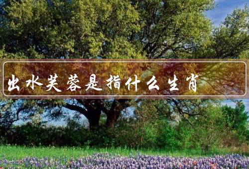 出水芙蓉是指什么生肖（起源、寓意、文化内涵）