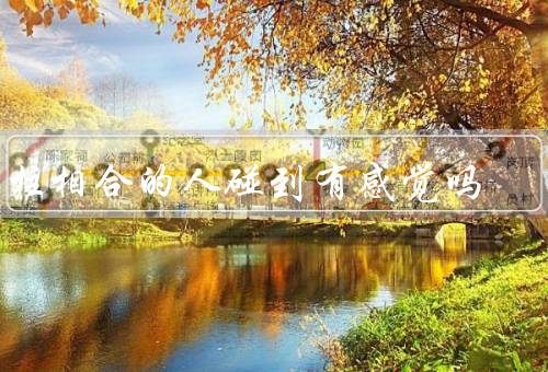 日柱相合的人碰到有感觉吗，亲近与熟悉／神秘与奇特／情感共鸣