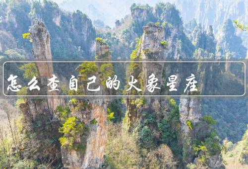 怎么查自己的火象星座，什么是火象星座／如何查自己的火象星座