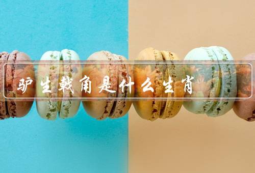 驴生戟角是什么生肖（什么生肖、生肖马的特点、象征意义）