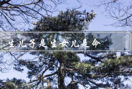 生儿子是风水生女儿是命，起源／影响／改变