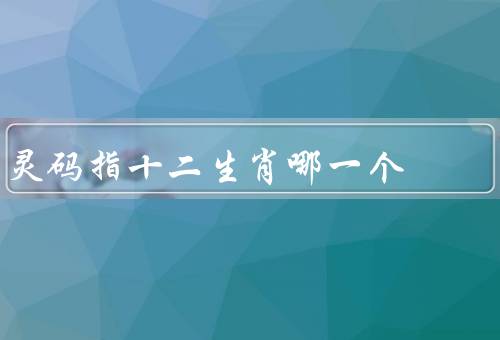 灵码指十二生肖哪一个，起源／十二生肖与／应用