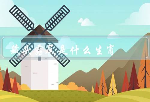 藏头露尾是什么生肖，鼠年的特点、藏头露尾的含义、属鼠的成功案例