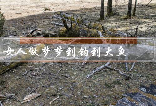 女人做梦梦到钓到大鱼，激动人心的发现、成功背后的意义