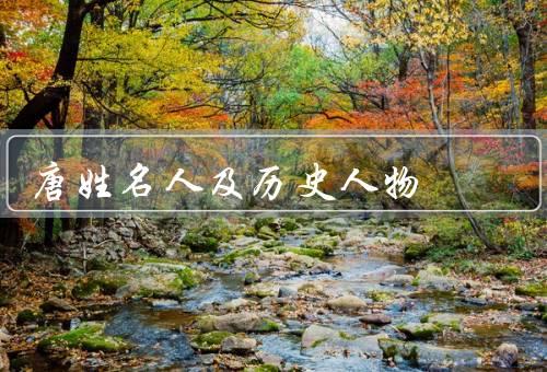 唐姓名人及历史人物（李世民、玄奘、武则天）