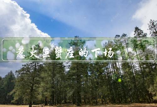 惹火巨蟹座的下场（特点、惹怒方式、下场）