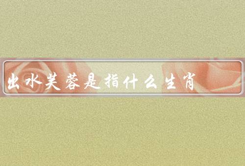 出水芙蓉是指什么生肖，生肖兔象征／来源／寓意