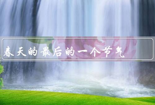 春天的最后的一个节气，谷雨／花开／宜养生