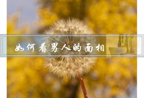 如何看男人的面相（眼睛／嘴唇／额头）