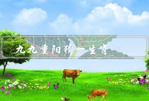 九九重阳猜一生肖，由来／具体猜法／影响
