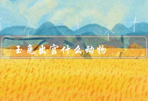 玉兔出宫什么动物（出宫是什么动物？、文化中的象征意义）