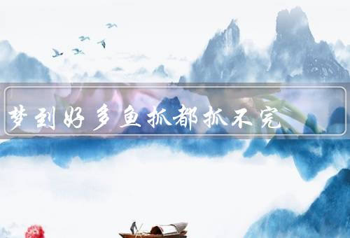 梦到好多鱼抓都抓不完（无限的鱼儿／追求的欲望／珍惜当下）