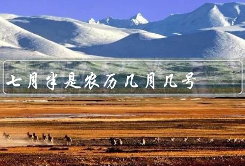 七月半是农历几月几号（起源／习俗和活动／意义和价值）