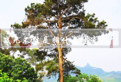 战无不胜是指什么生肖（聪明才智／机智应变／勇往直前）