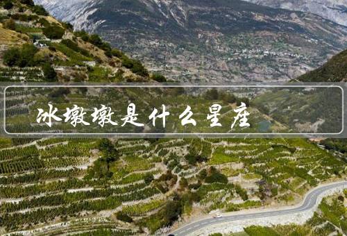 冰墩墩是什么星座，个性特点／感情生活／事业发展