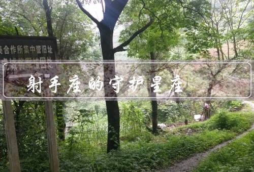 射手座的守护星座，性格特点、职业选择、爱情观