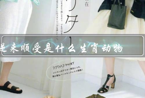 逆来顺受是什么生肖动物（猪、兔子、牛）
